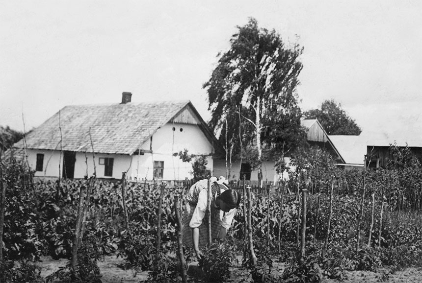 Podlwowska wieś Sokolniki