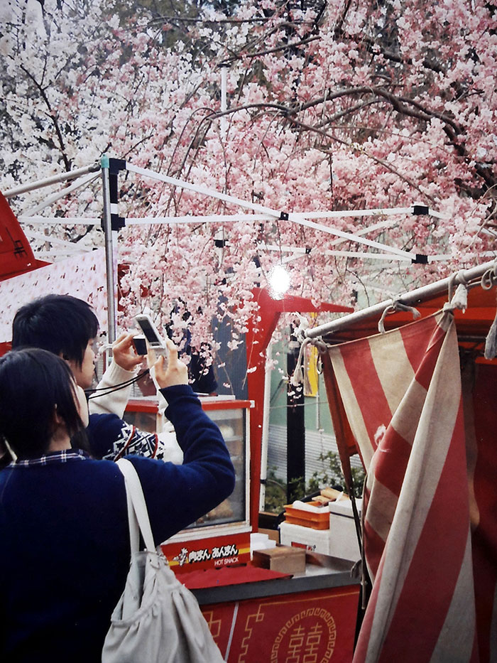 Park Ueno w Tokio podczas sakura hanami