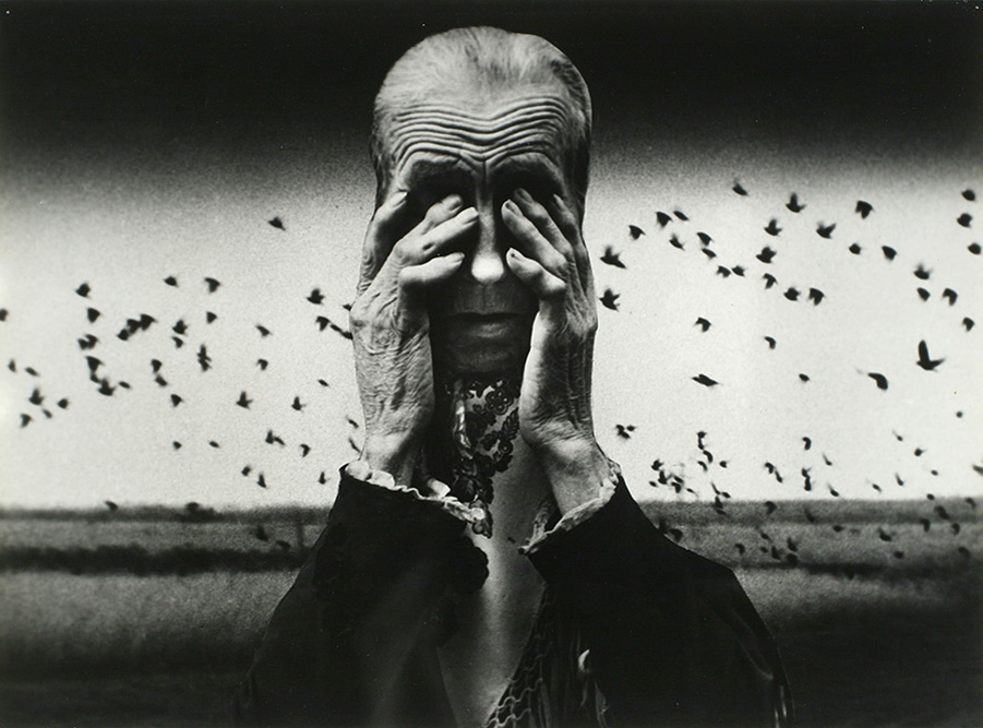 Zofia Rydet, fotografia z cyklu „Zagłada” (kompozycja z ptakami), ok. 1970, fotomontaż