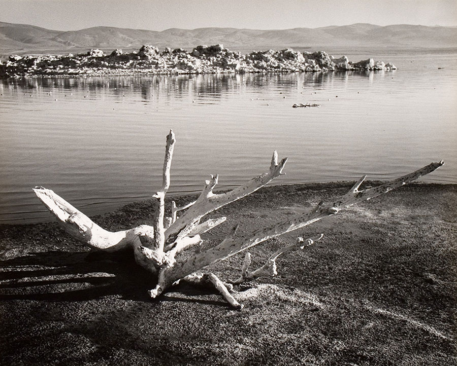 Stefan Arczyński, „Mono Lake-California”, 1960, technika bromosrebrowa