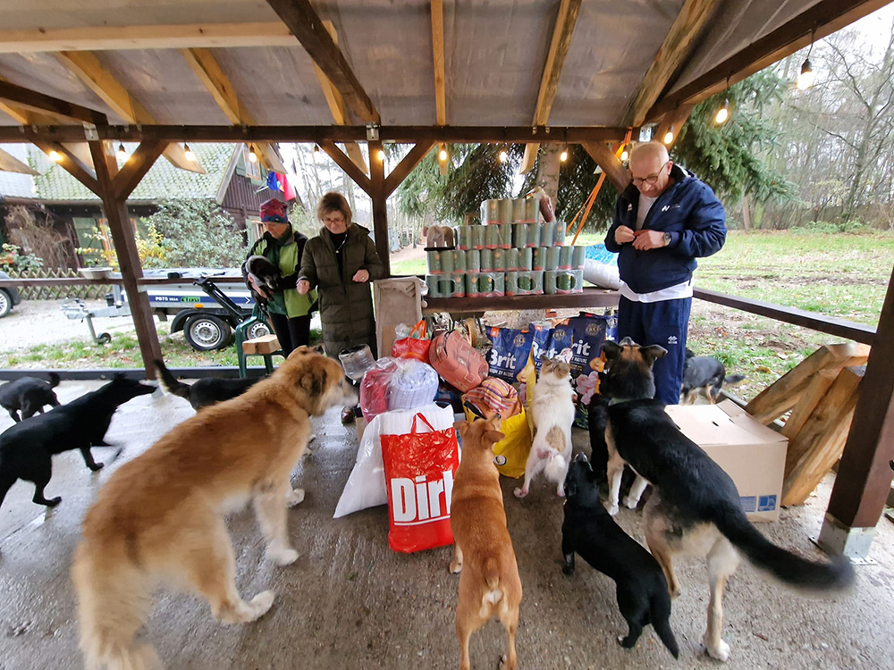 Pomoc psom i kotom – podopiecznym ośrodka Matuzalki