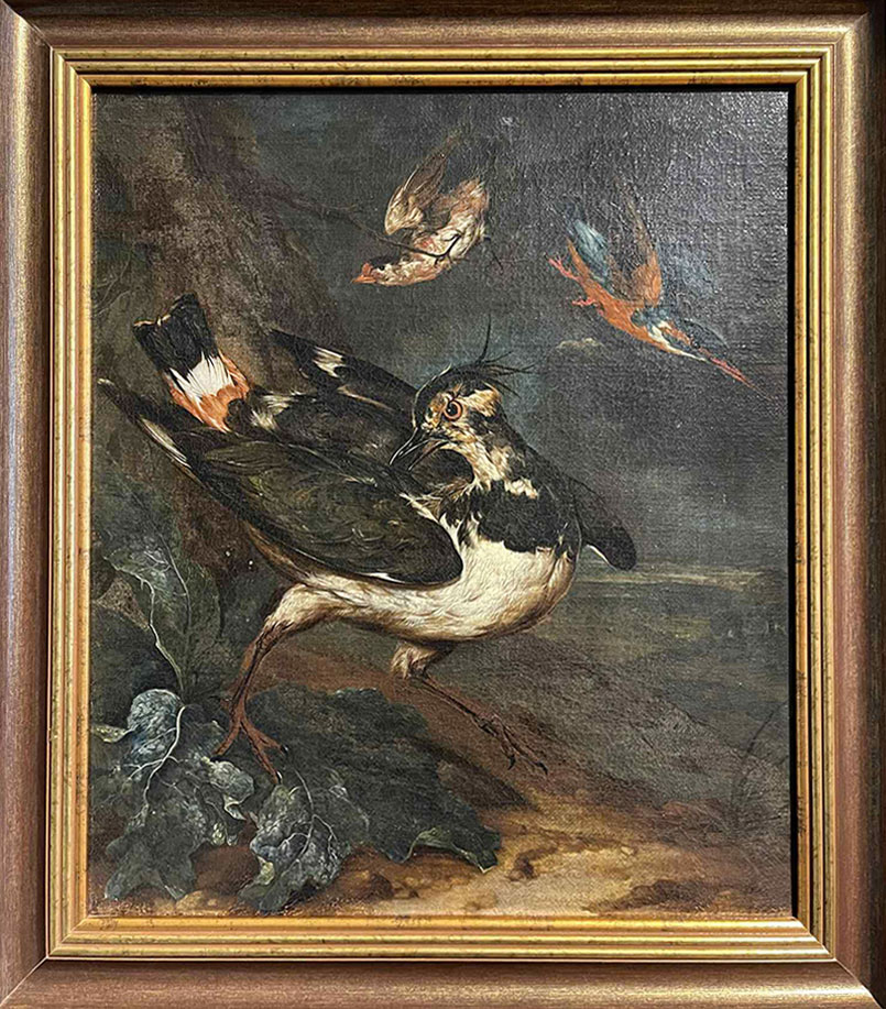 Philipp Ferdinand de Hamilton, Czajka, szczygieł i zimorodek, ok. 1700