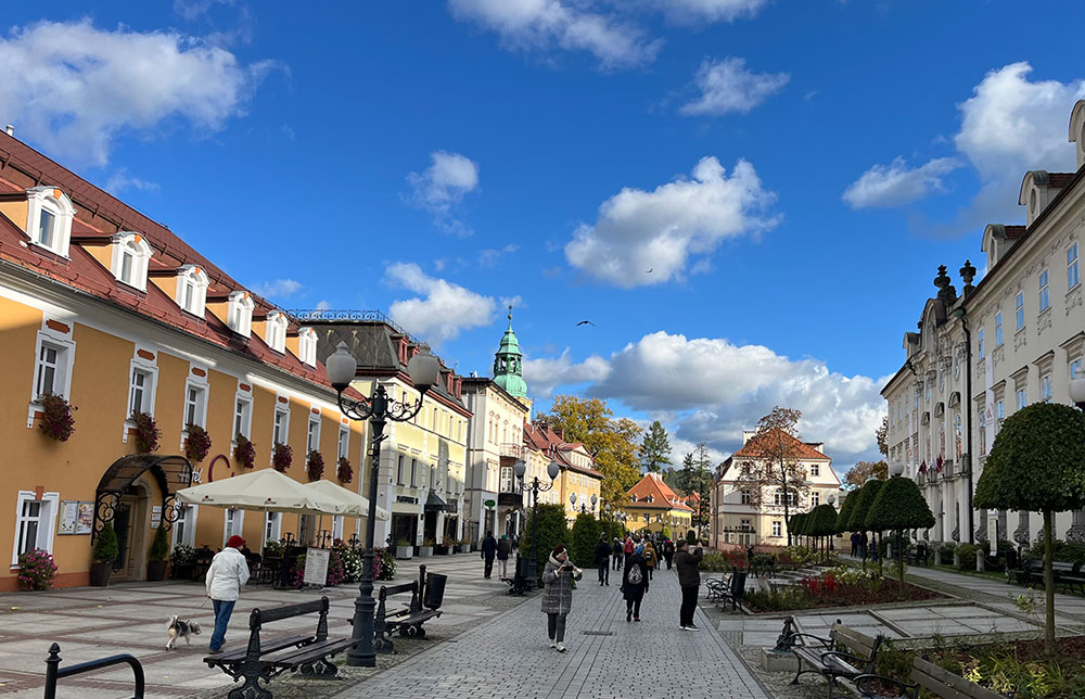 Wycieczka Stowarzyszenia Przyjaciół Muzeum – zwiedzanie Cieplic