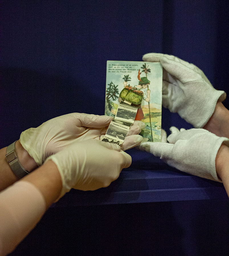 Przygotowania do wystawy „Mikroświaty”