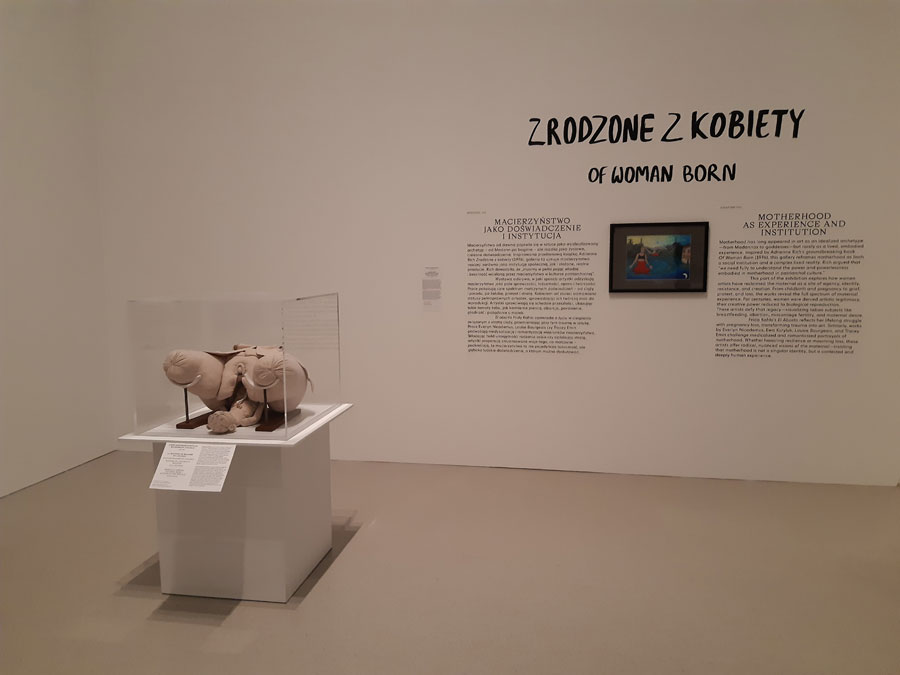 Fotorelacja z wycieczki do Warszawy dla Stowarzyszenia Przyjaciół Muzeum we Wrocławiu – obrazy w Muzeum Sztuki Nowoczesnej