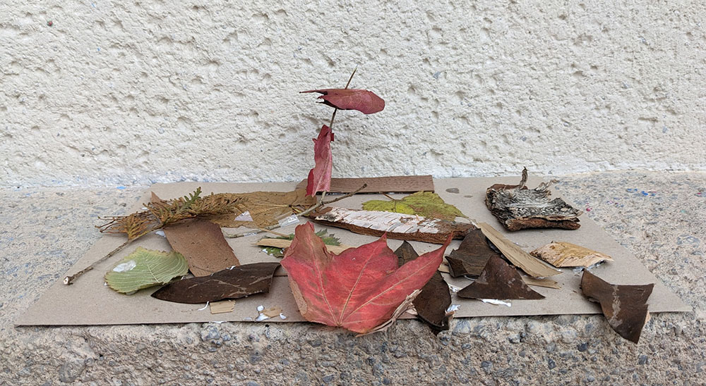 Warsztaty „Linia, kreska i deska”