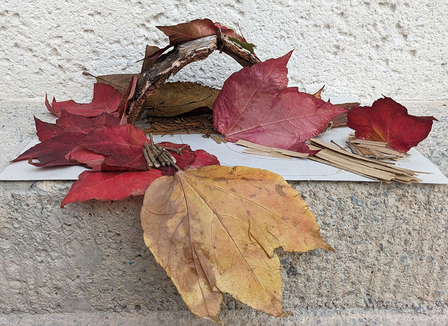 Warsztaty „Linia, kreska i deska”