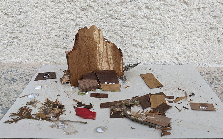 Warsztaty „Linia, kreska i deska”