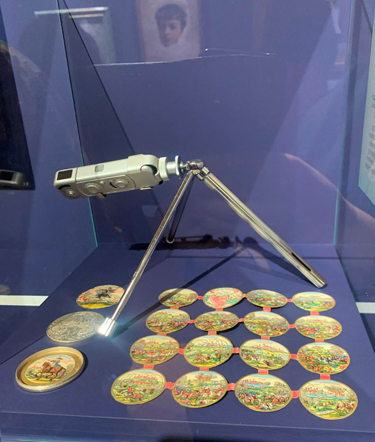 Oprowadzanie dla członków Stowarzyszenia Przyjaciół Muzeum Narodowego we Wrocławiu po wystawie „Mikroświaty”