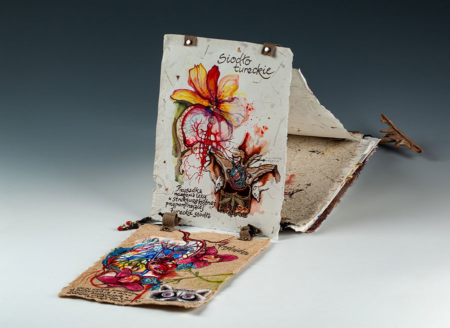 „Bajki anatomiczne” Doroty Pietrzyk