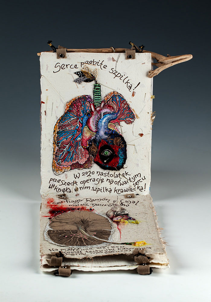 „Bajki anatomiczne” Doroty Pietrzyk