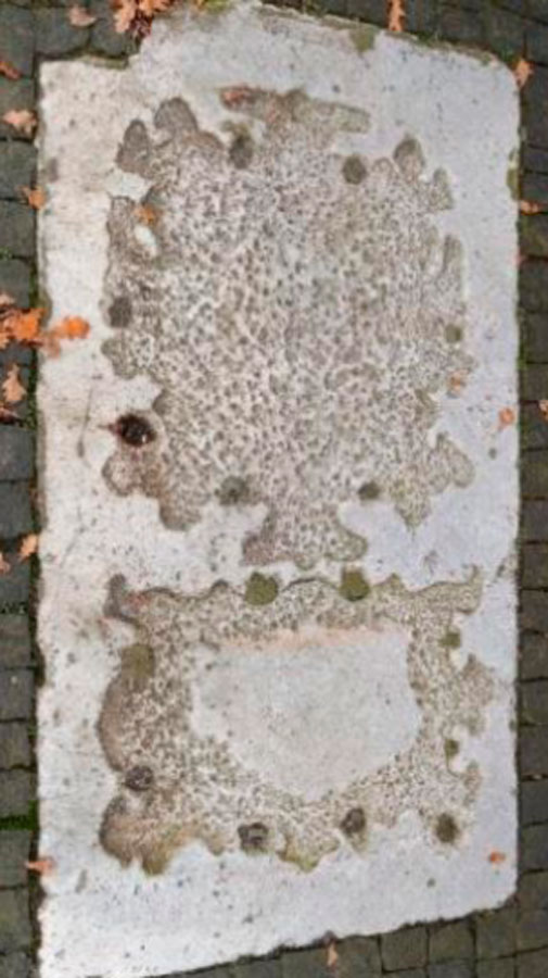 Pozostałość płyty nagrobnej Antonów Banke, ojca i syna
