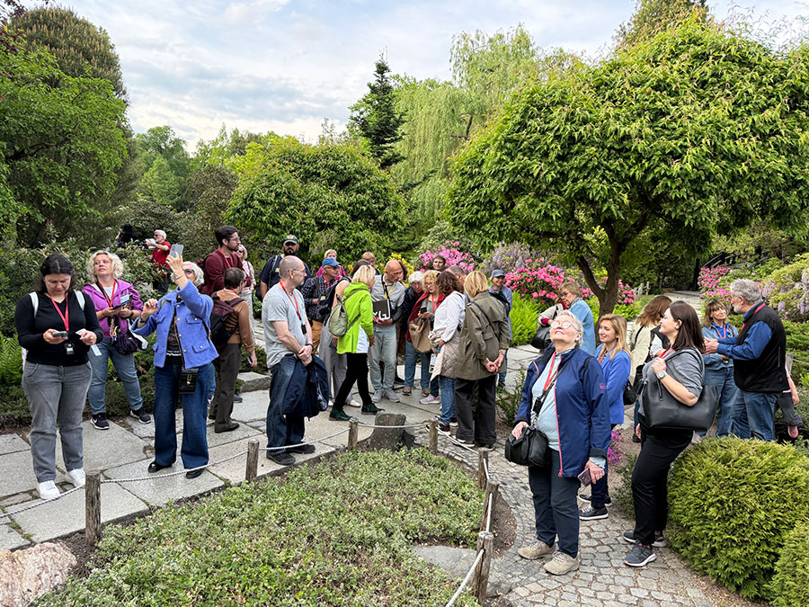Oprowadzanie w Ogrodzie Japońskim dla Stowarzyszenia Przyjaciół Muzeum
