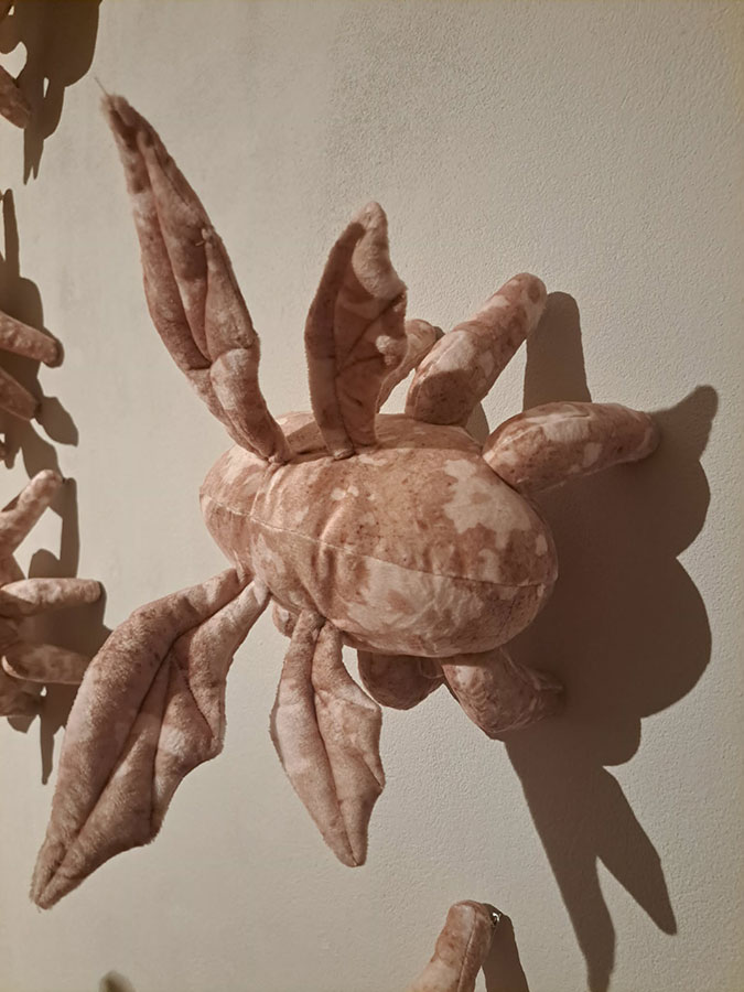 Ziemniaczana wystawa OP
