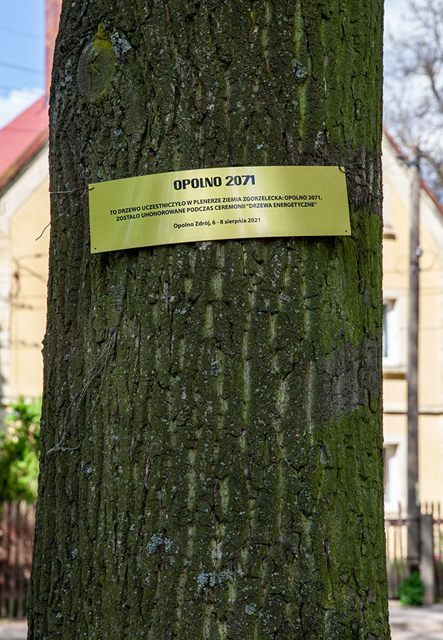 Przygotowania do wystawy „Życie na węglu”