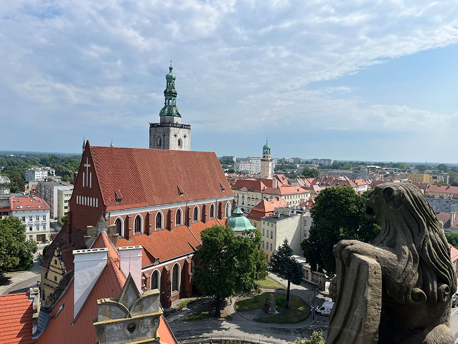 Fotorelacja z wycieczki do Oleśnicy dla Stowarzyszenia Przyjaciół Muzeum Narodowego we Wrocławiu